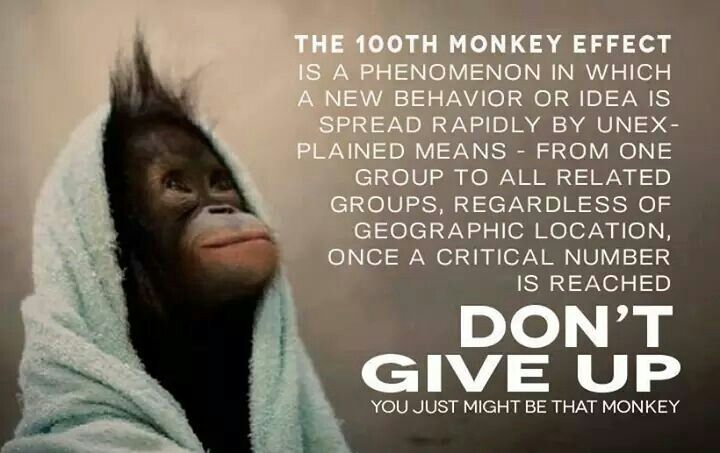 the_100th_monkey_effect-dont_give_up
