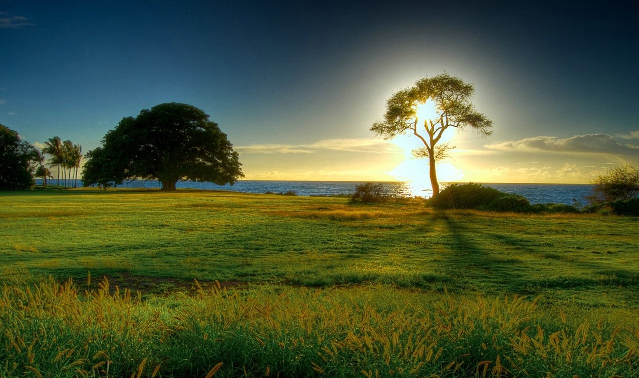 beautiful nature landsacpe