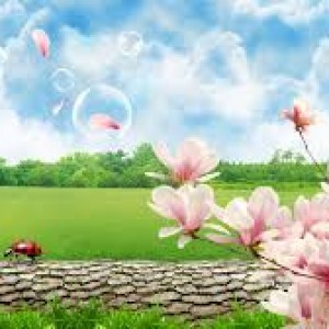 images (17)