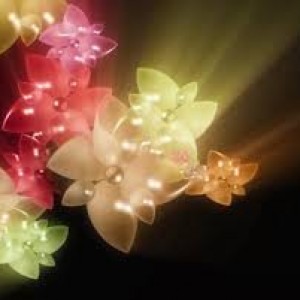 images (4)